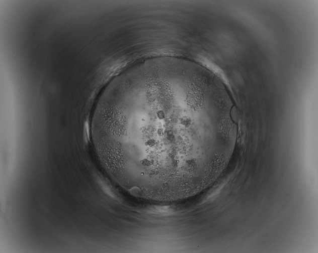 X0000087380061200704201252