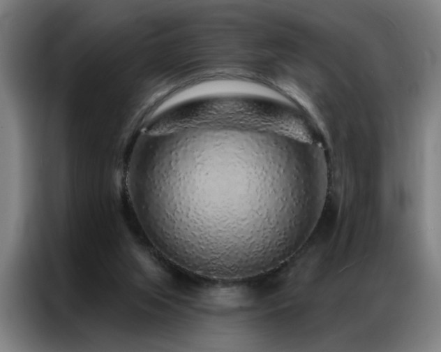 X0000087380063200704201253