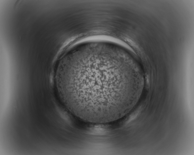 X0000087380064200704201253