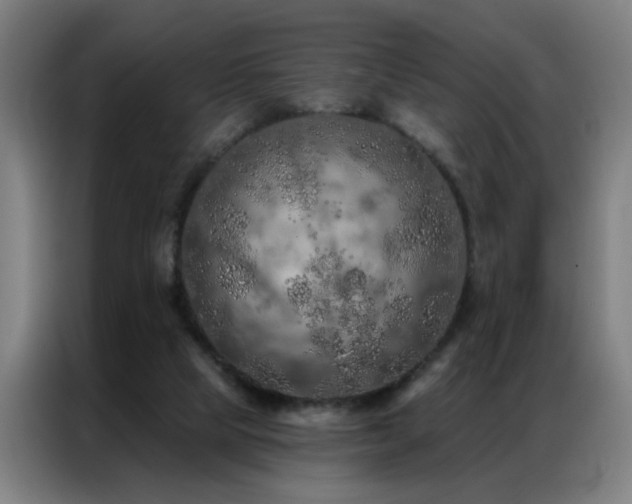 X0000087380065200704201253