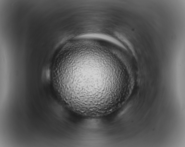 X0000087380067200704201253