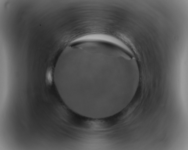 X0000087380069200704201253