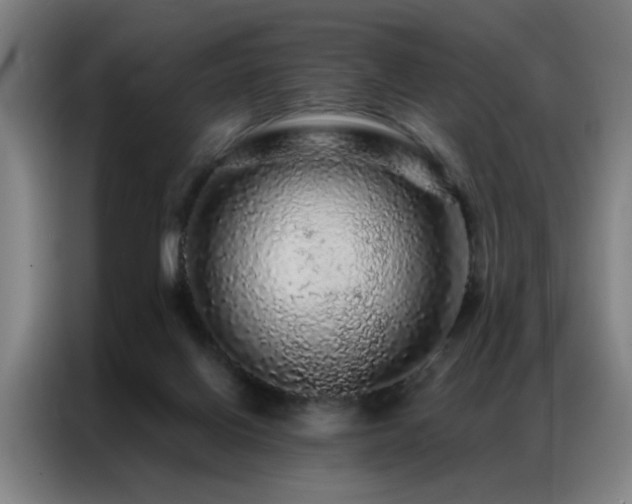 X0000087380070200704201253