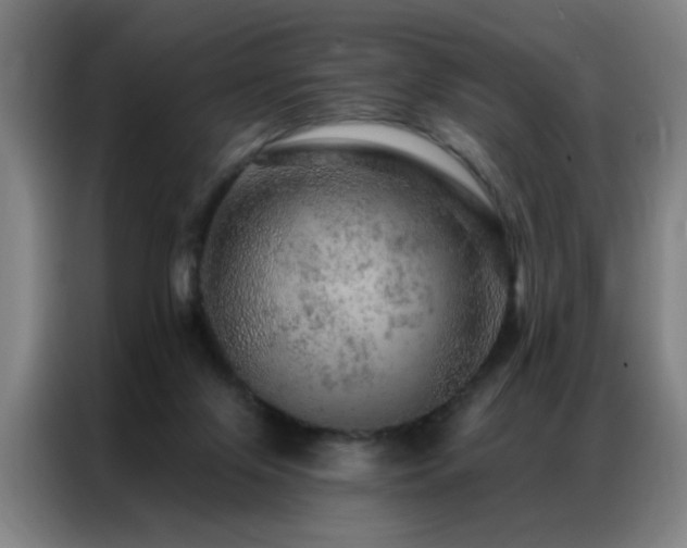 X0000087380071200704201253