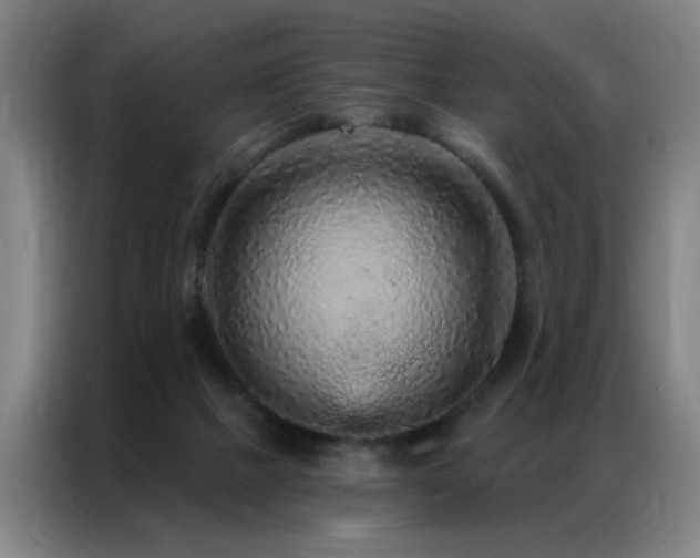 X0000087380073200704201253