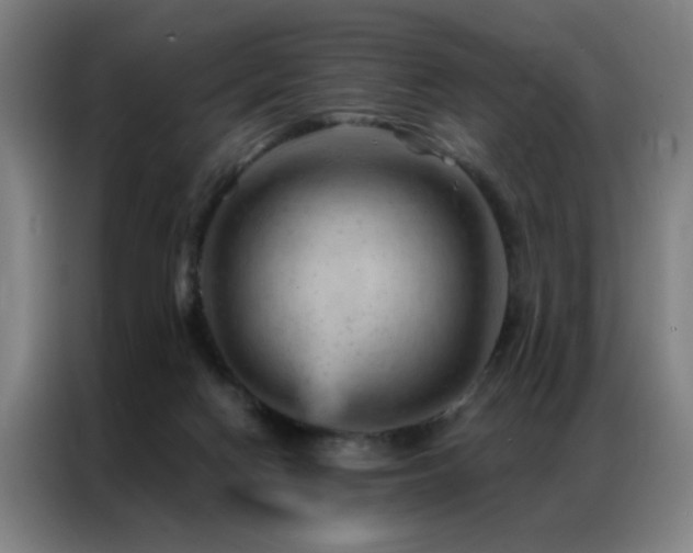 X0000087380074200704201253