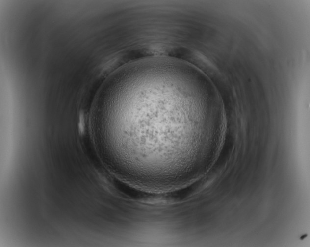 X0000087380075200704201253