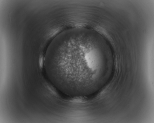 X0000087380076200704201253