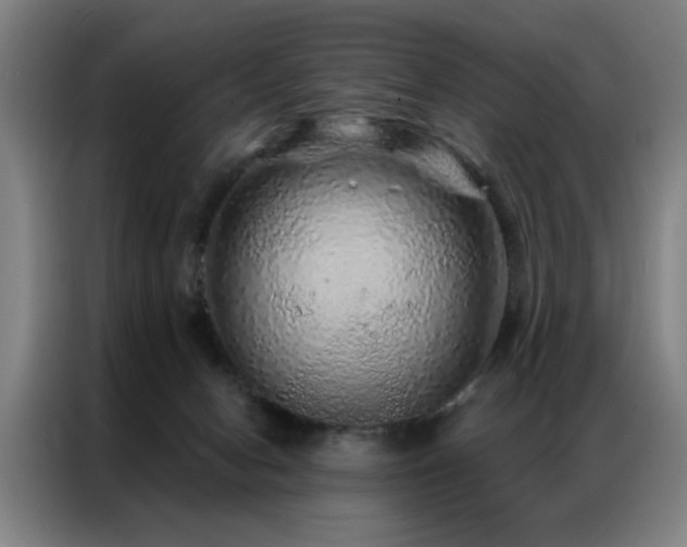 X0000087380078200704201253