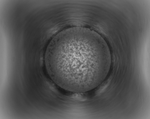 X0000087380080200704201253