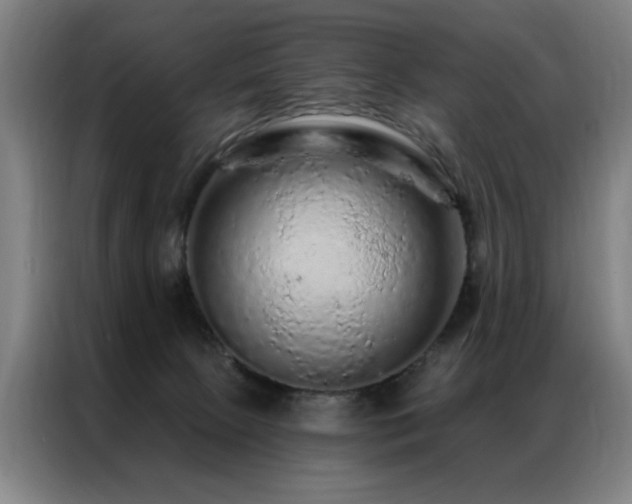 X0000087380081200704201253