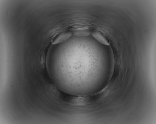 X0000087380082200704201253