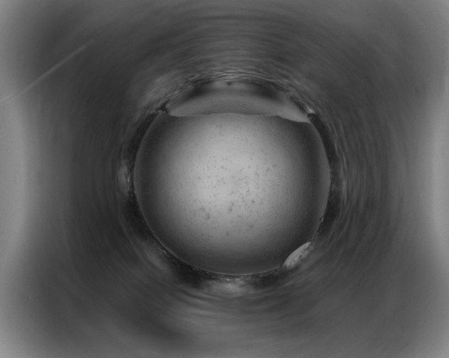 X0000087380086200704201253