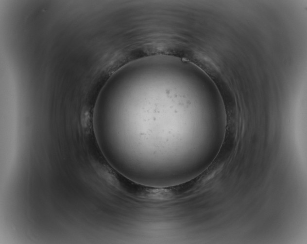 X0000087380087200704201253