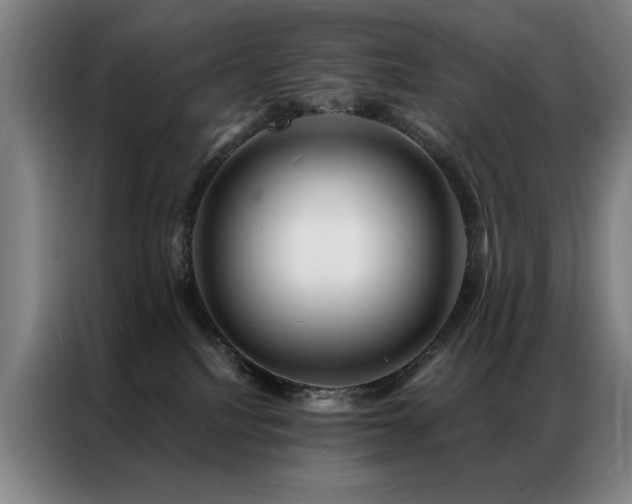 X0000087380088200704201253