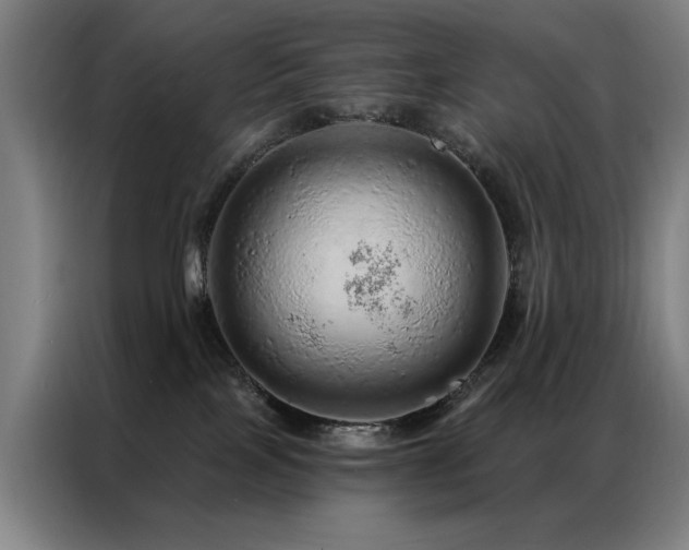 X0000087380089200704201253