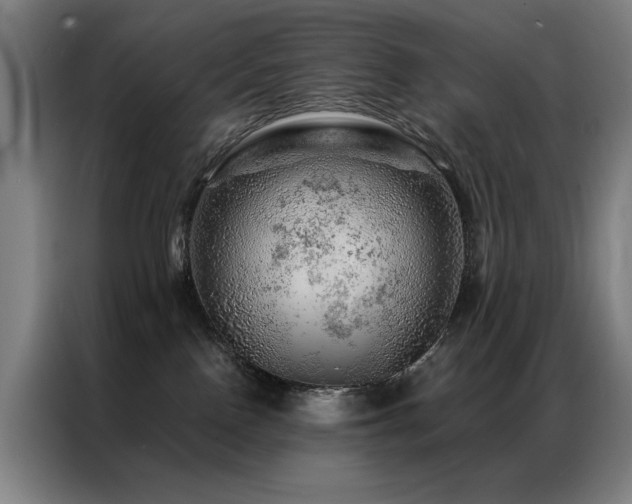 X0000087380090200704201253