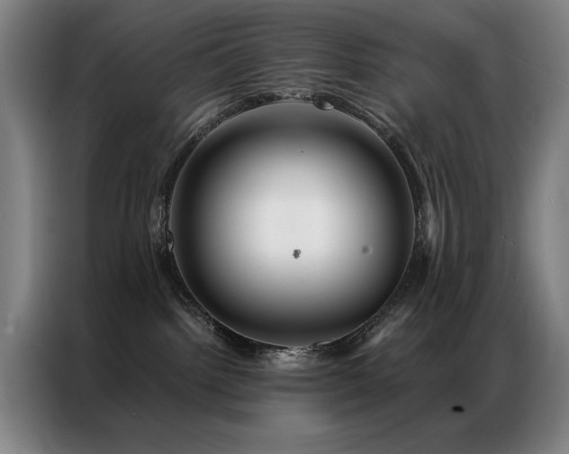 X0000087380092200704201253