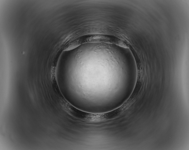 X0000087380093200704201253