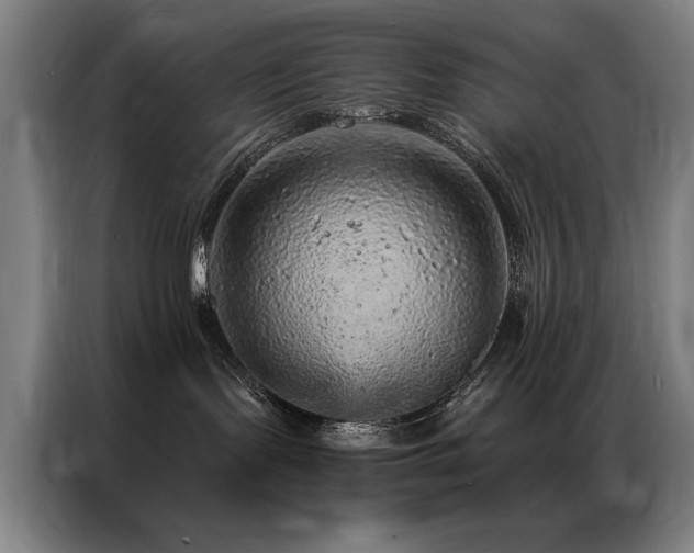 X0000087380095200704201253