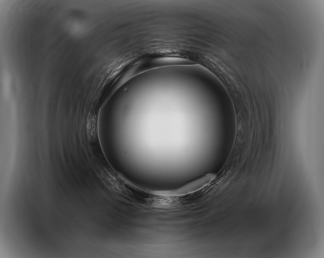 X0000087380096200704201253