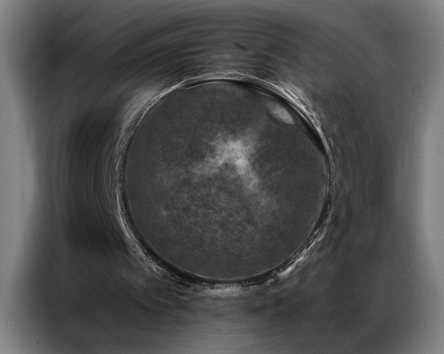 X0000087380097200704201252