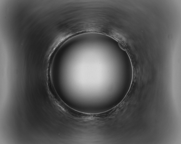 X0000087380098200704201252