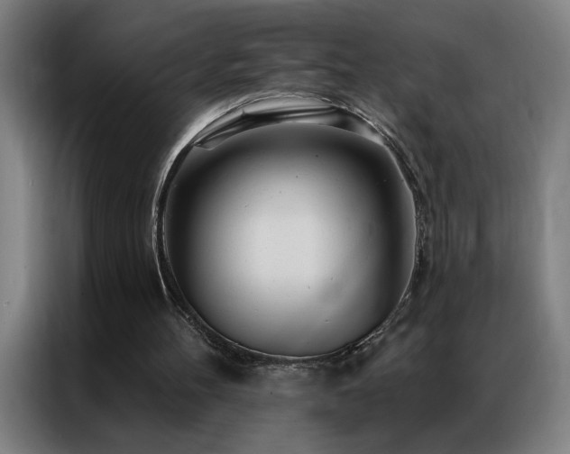 X0000087380100200704201252