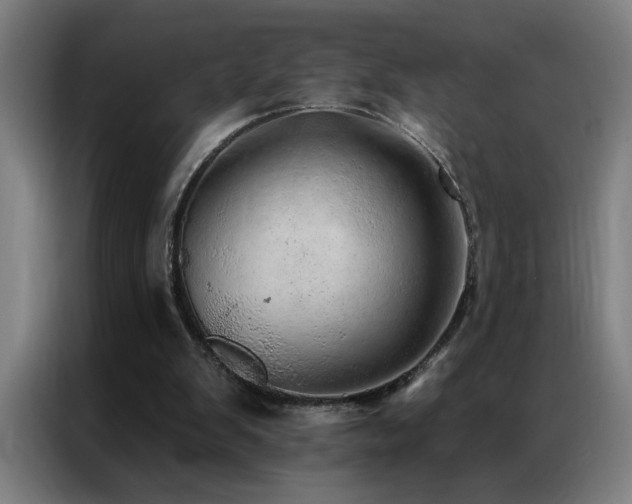 X0000087380103200704201252