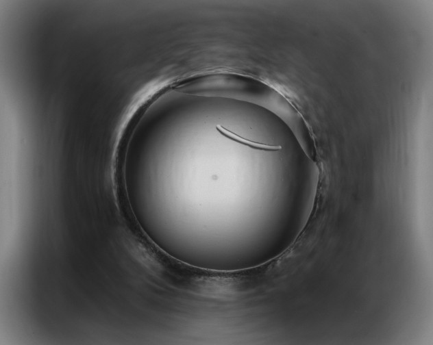 X0000087380104200704201252