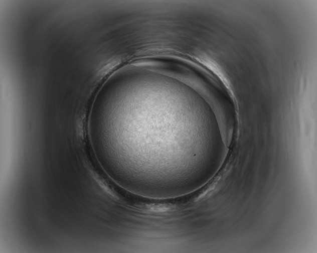 X0000087380105200704201252