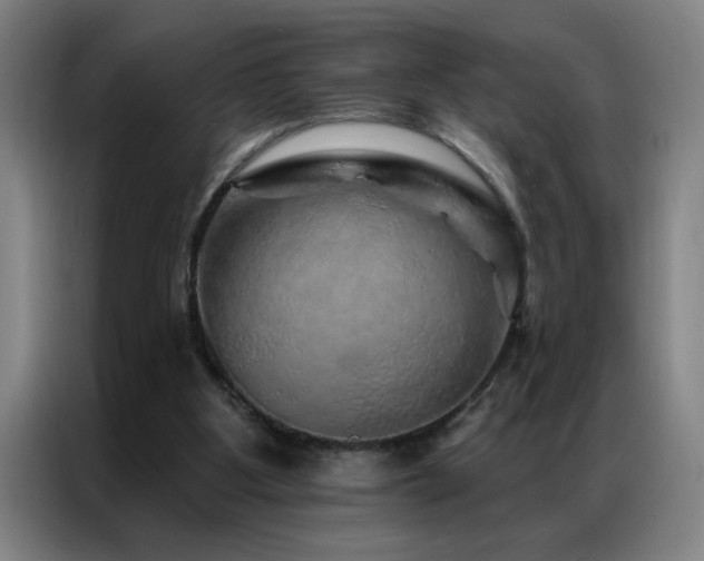 X0000087380107200704201252