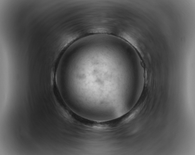 X0000087380109200704201252