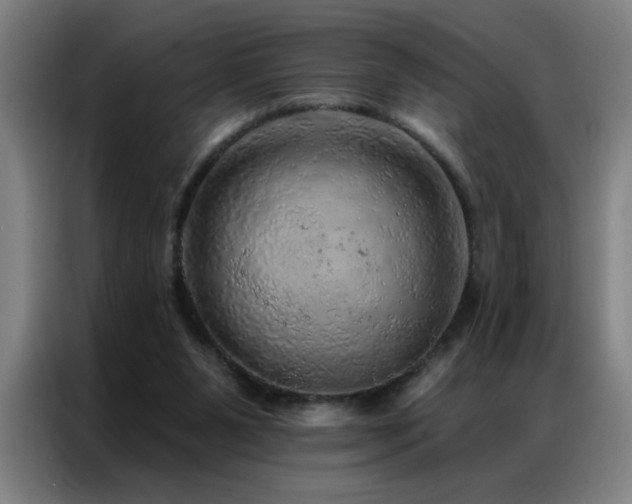 X0000087380111200704201252