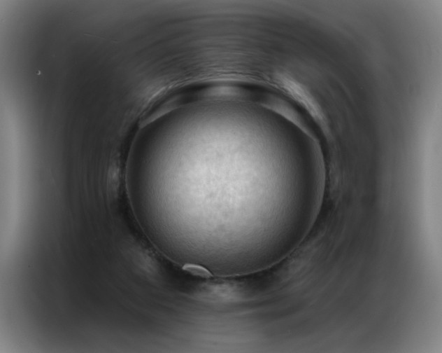 X0000087380113200704201252