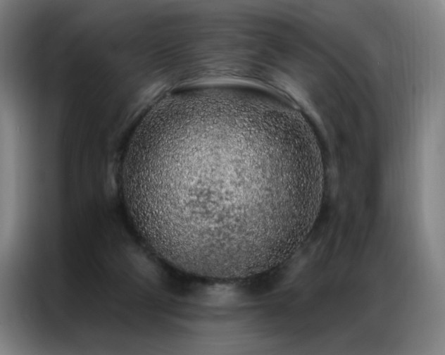 X0000087380114200704201252