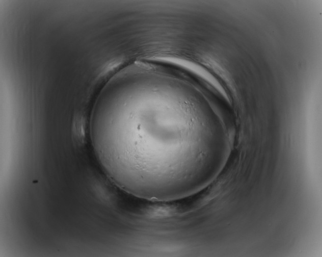 X0000087380115200704201252