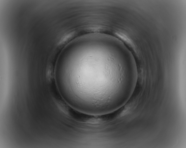 X0000087380119200704201252