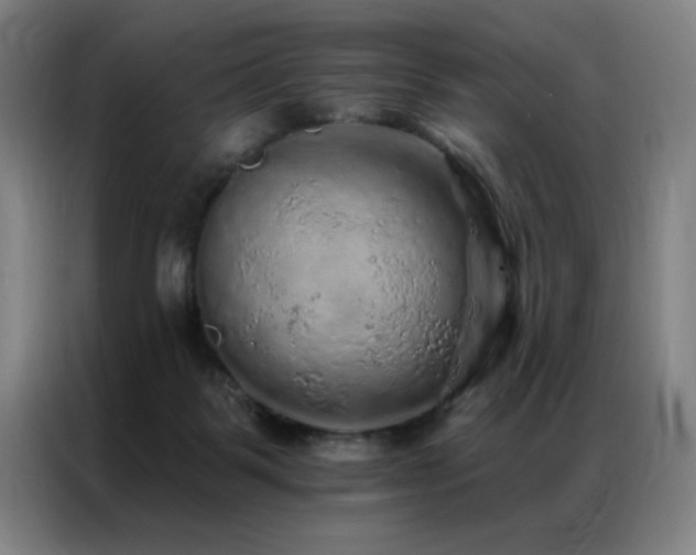 X0000087380123200704201252