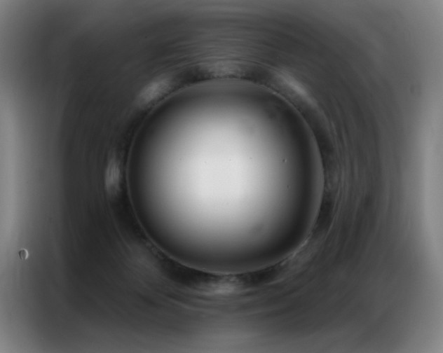 X0000087380124200704201252