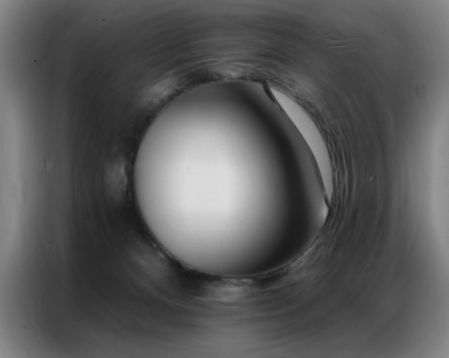 X0000087380128200704201252