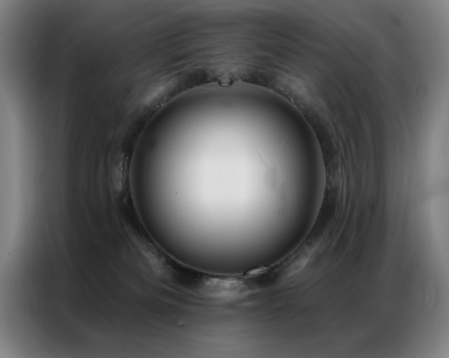 X0000087380133200704201252