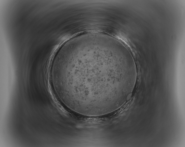 X0000087380145200704201251