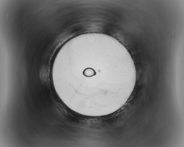 X0000087380146200704201251