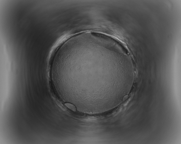 X0000087380149200704201251