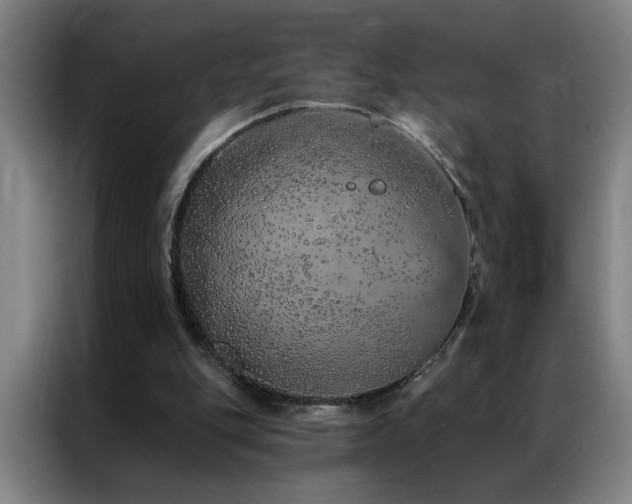 X0000087380151200704201251