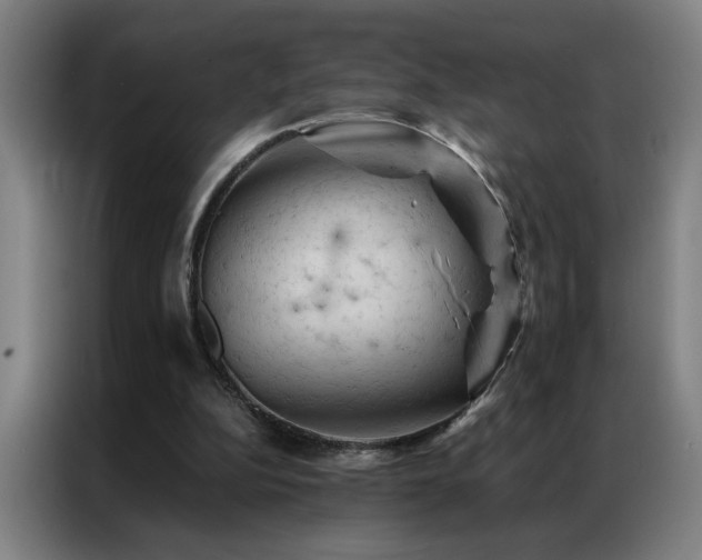 X0000087380152200704201251