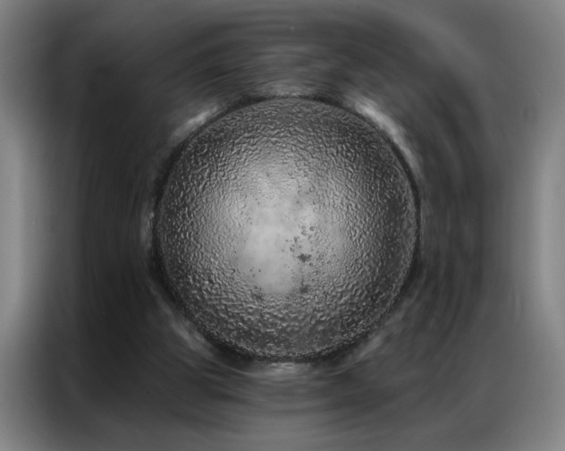 X0000087380153200704201251