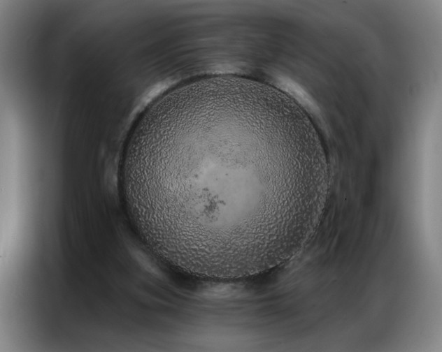 X0000087380155200704201251