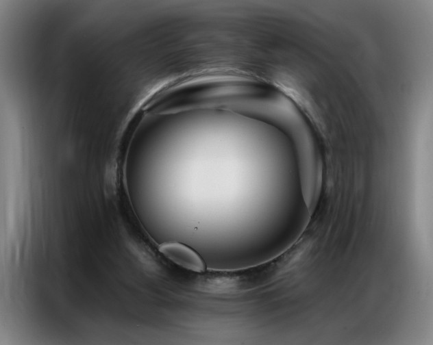 X0000087380156200704201251